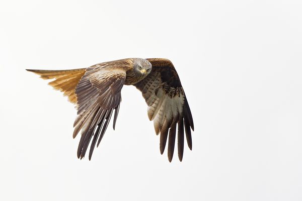 Schon wieder so ein Fotograf