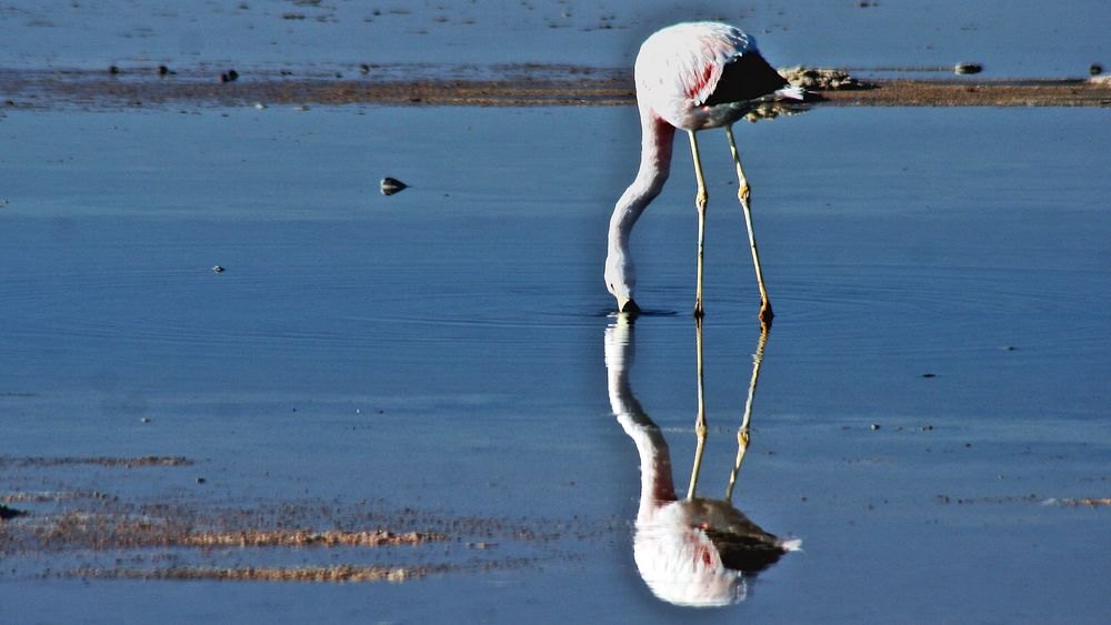 schon wieder Spiegeltag?