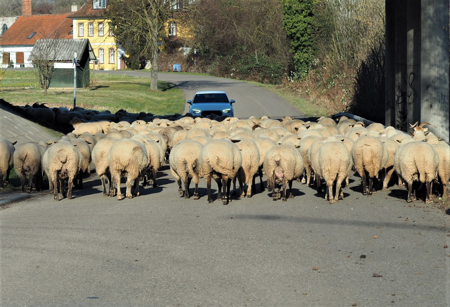 Schon wieder Straßenblockade 