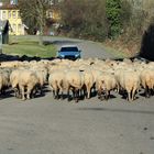 Schon wieder Straßenblockade 