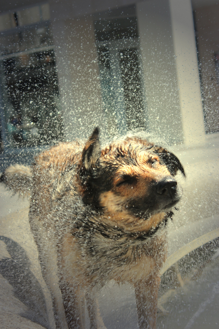 Schon wieder Wasser im Ohr!!!