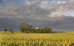 Schonen