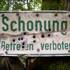 Schonung, betreten verboten, Schild mit Einschüssen, willkommen im Dschungel !