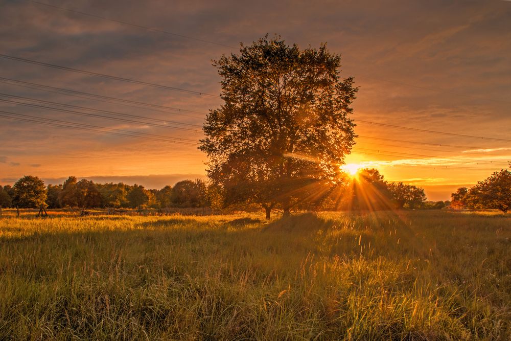 Schonwalder Abendlicht