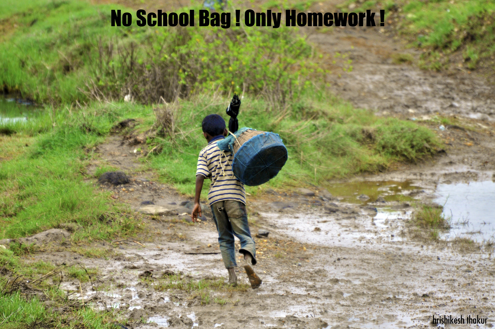 School ??