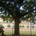 School alone! , Mysore