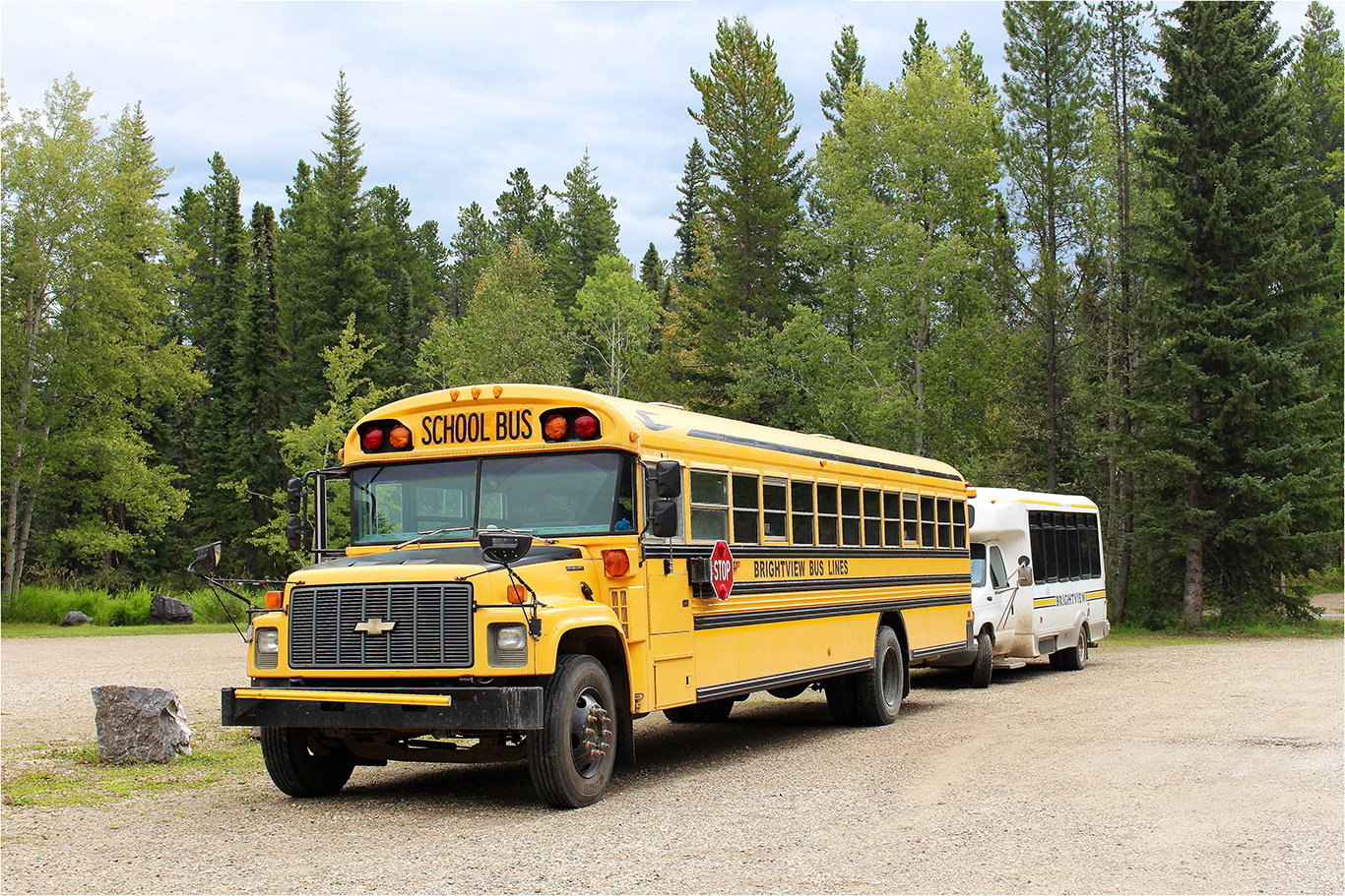 " School Bus " Foto & Bild | world, canada, bus Bilder auf ...