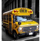 School Bus