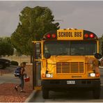 SCHOOL BUS