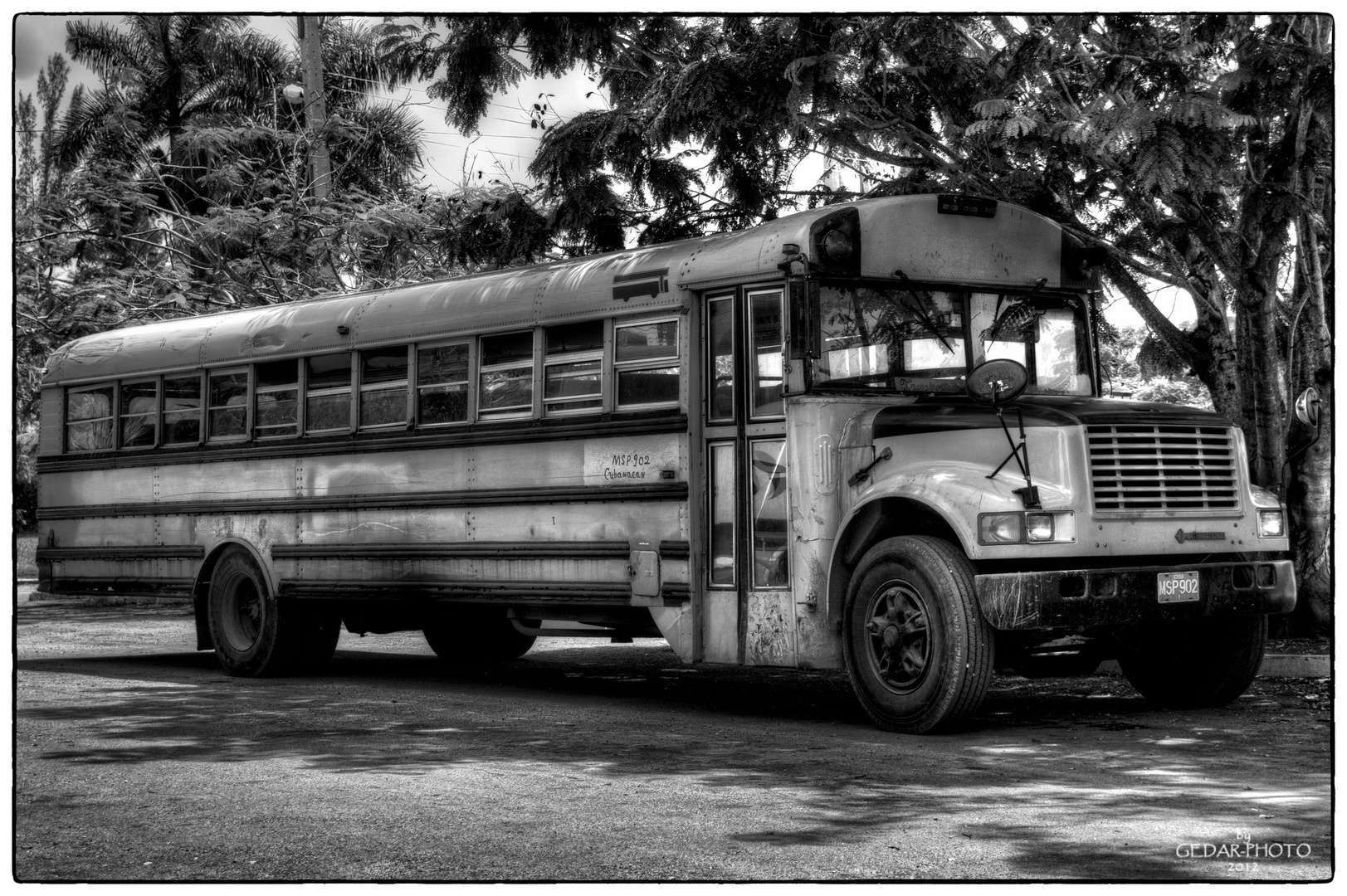 School Bus