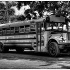 School Bus