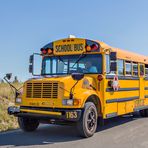 School Bus im Lausitzer Seenland