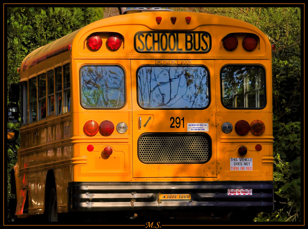 School Bus in HDR&TM