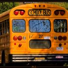 School Bus in HDR&TM