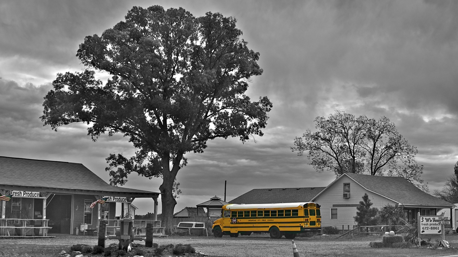 school bus in Virginia