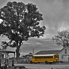 school bus in Virginia