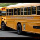 School Bus, Williamsburg, Brooklyn, New York City / USA