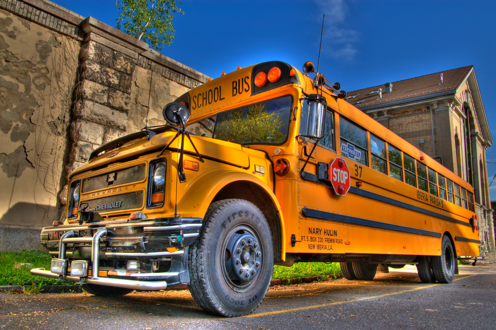 School Bus Yellow