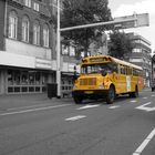 schoolbus # 231