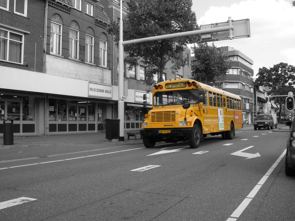 schoolbus # 231