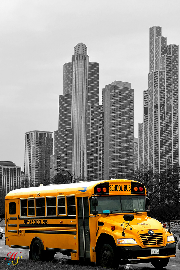 Schoolbus Chicago