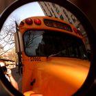 Schoolbus NYC