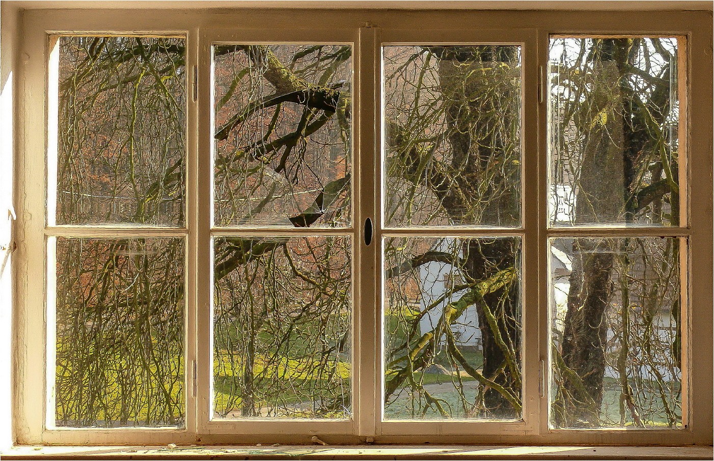 School´s Out... Fenster