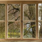 School´s Out... Fenster