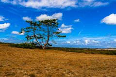 Schoorl 2016 (69 von 479)-HDR-36