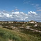 Schoorlser Dünen bei Alkmaar