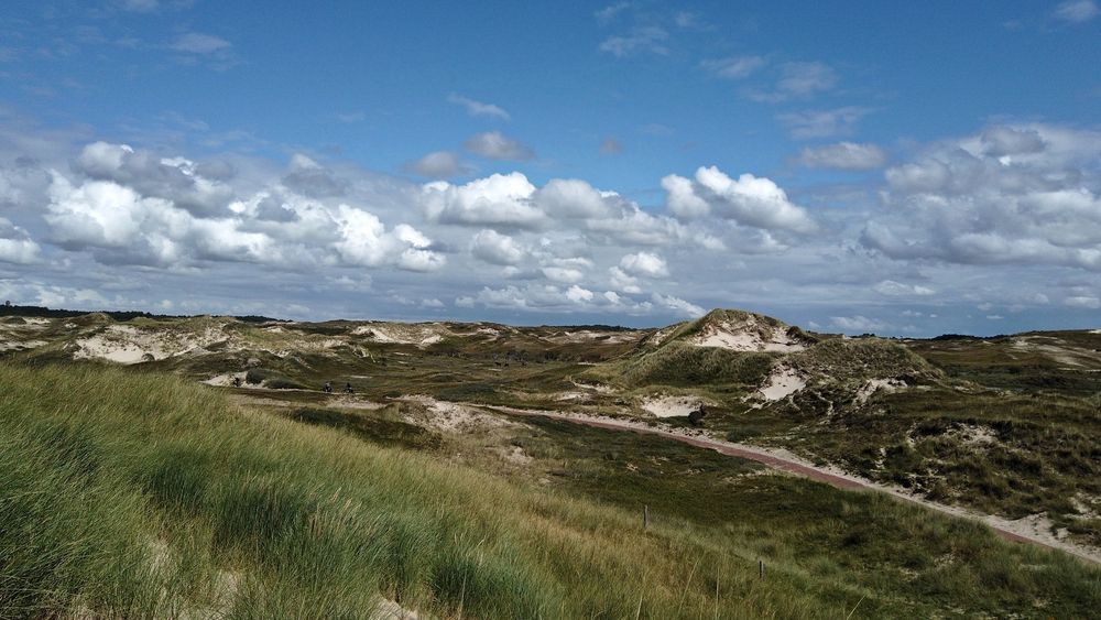 Schoorlser Dünen bei Alkmaar