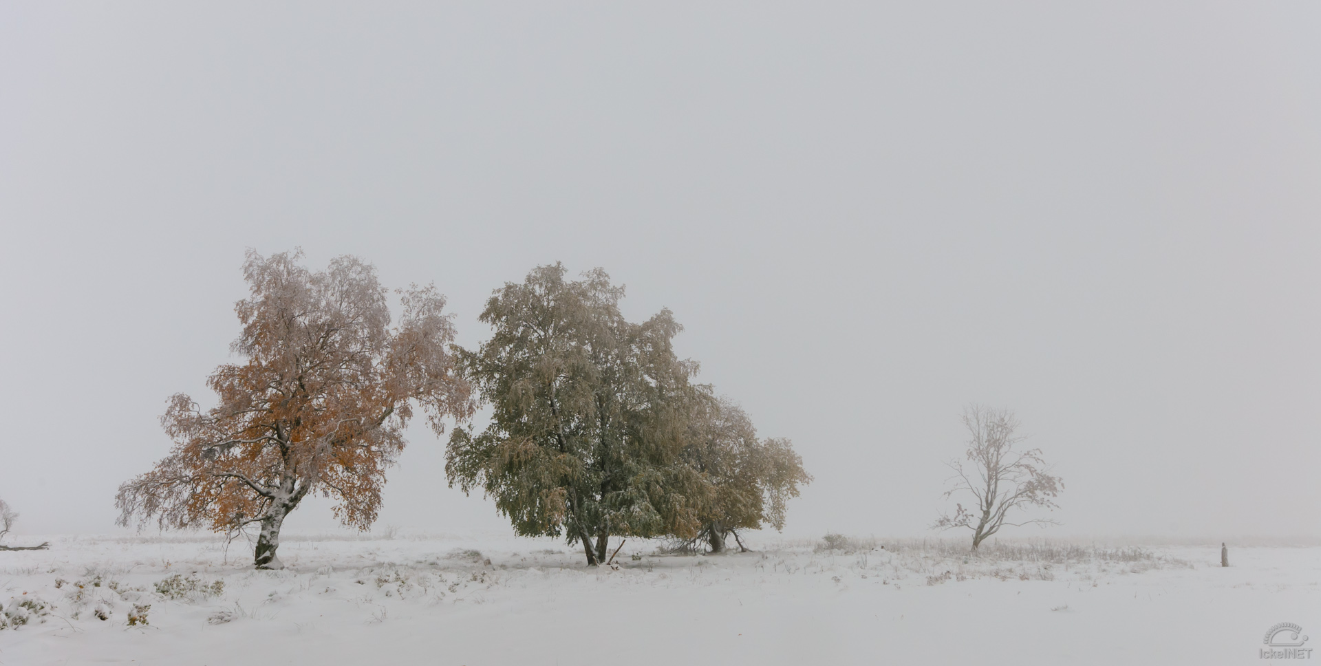 Schopflocher Moor #1