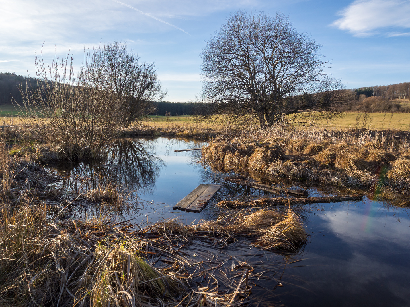 schopflocher moor