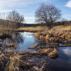 schopflocher moor