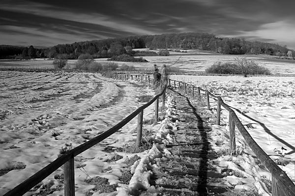 Schopflocher Moor