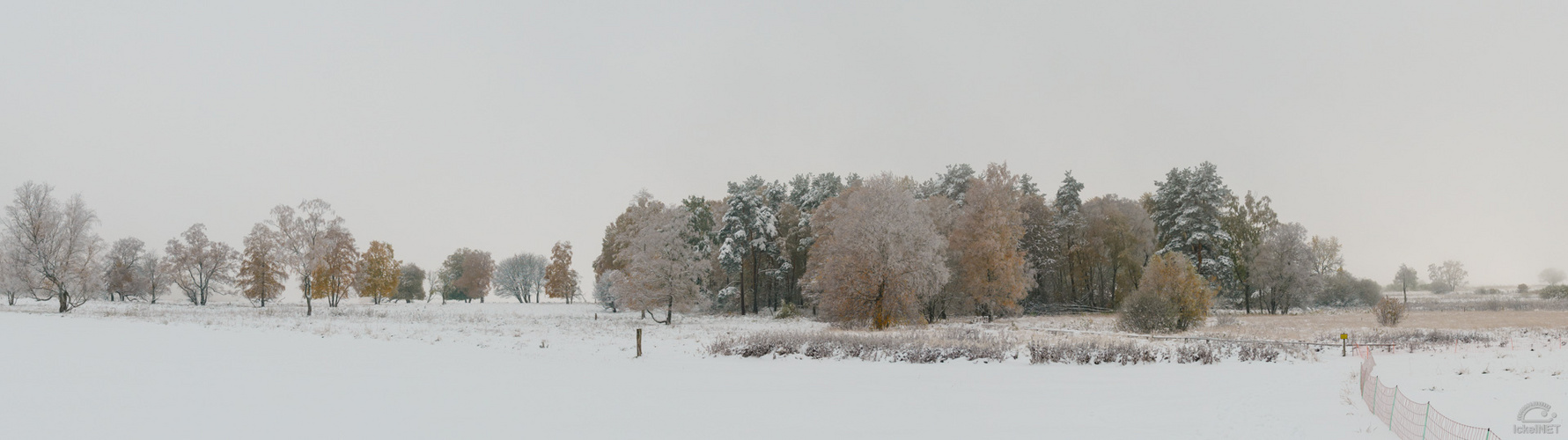 Schopflocher Moor #6