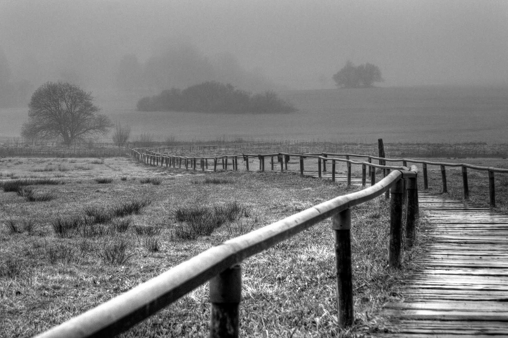 Schopflocher Moor