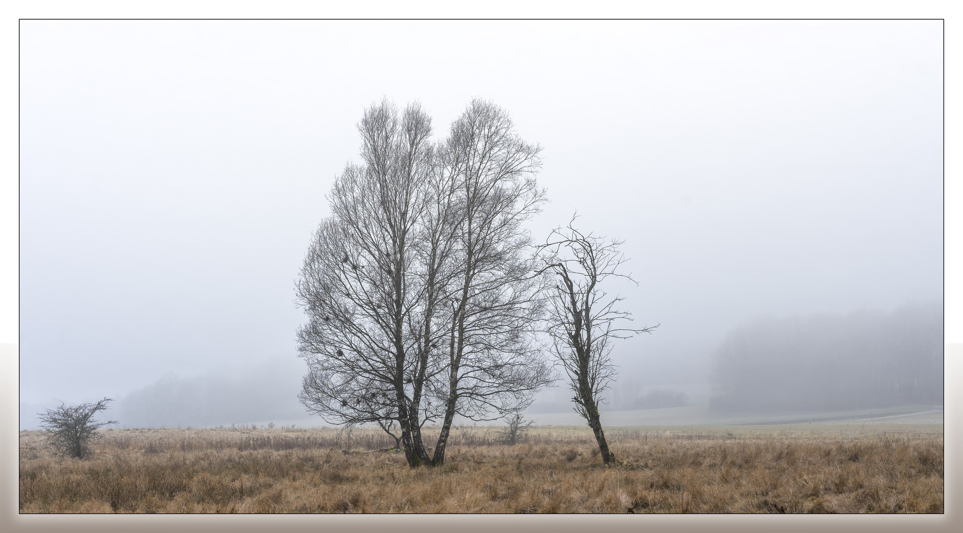 Schopflocher Moor