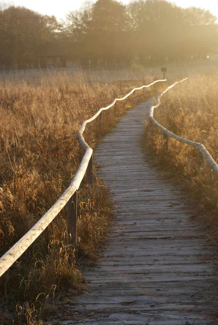 Schopflocher Moor im Herbst