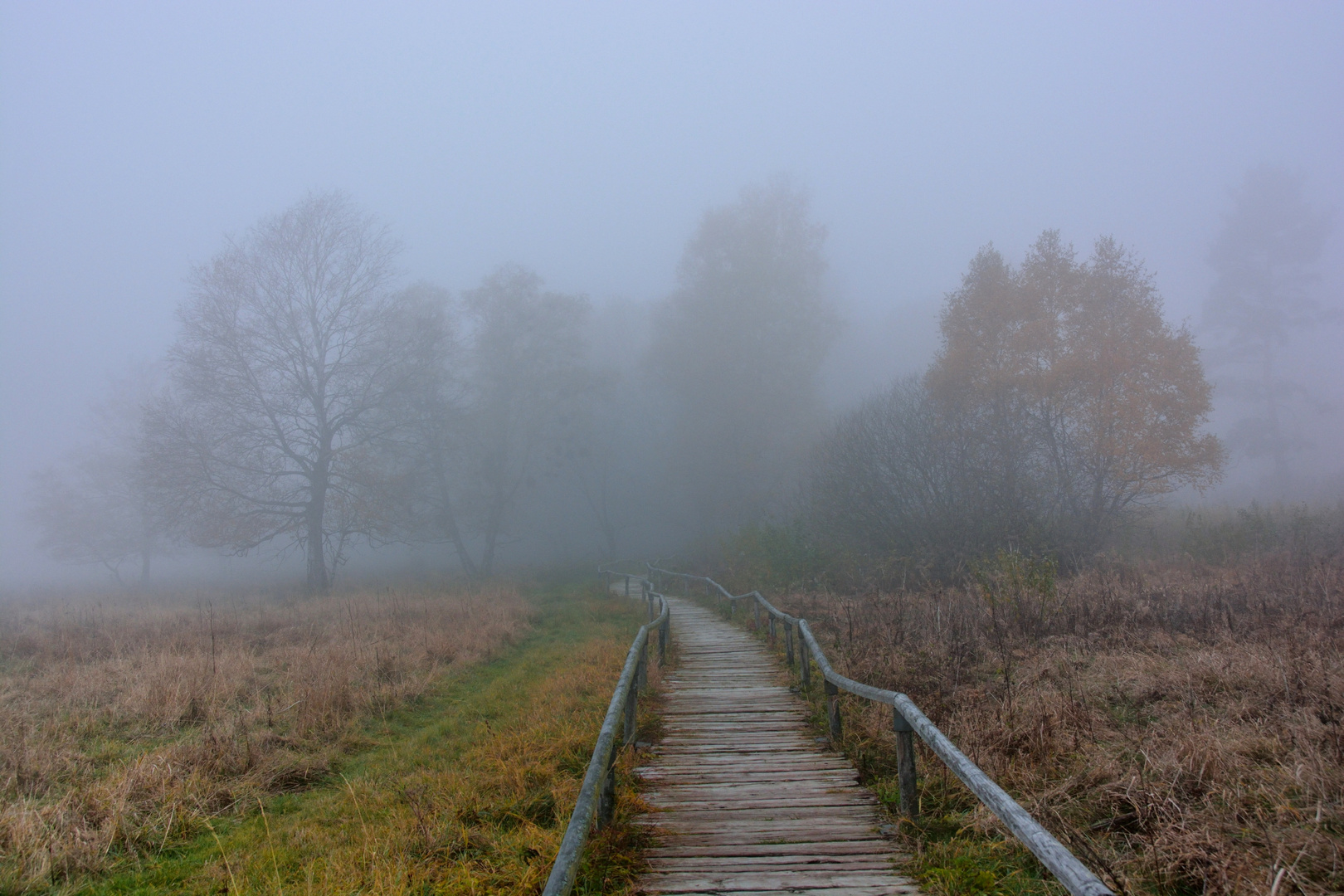 Schopflocher Moor, schwäbische Alb