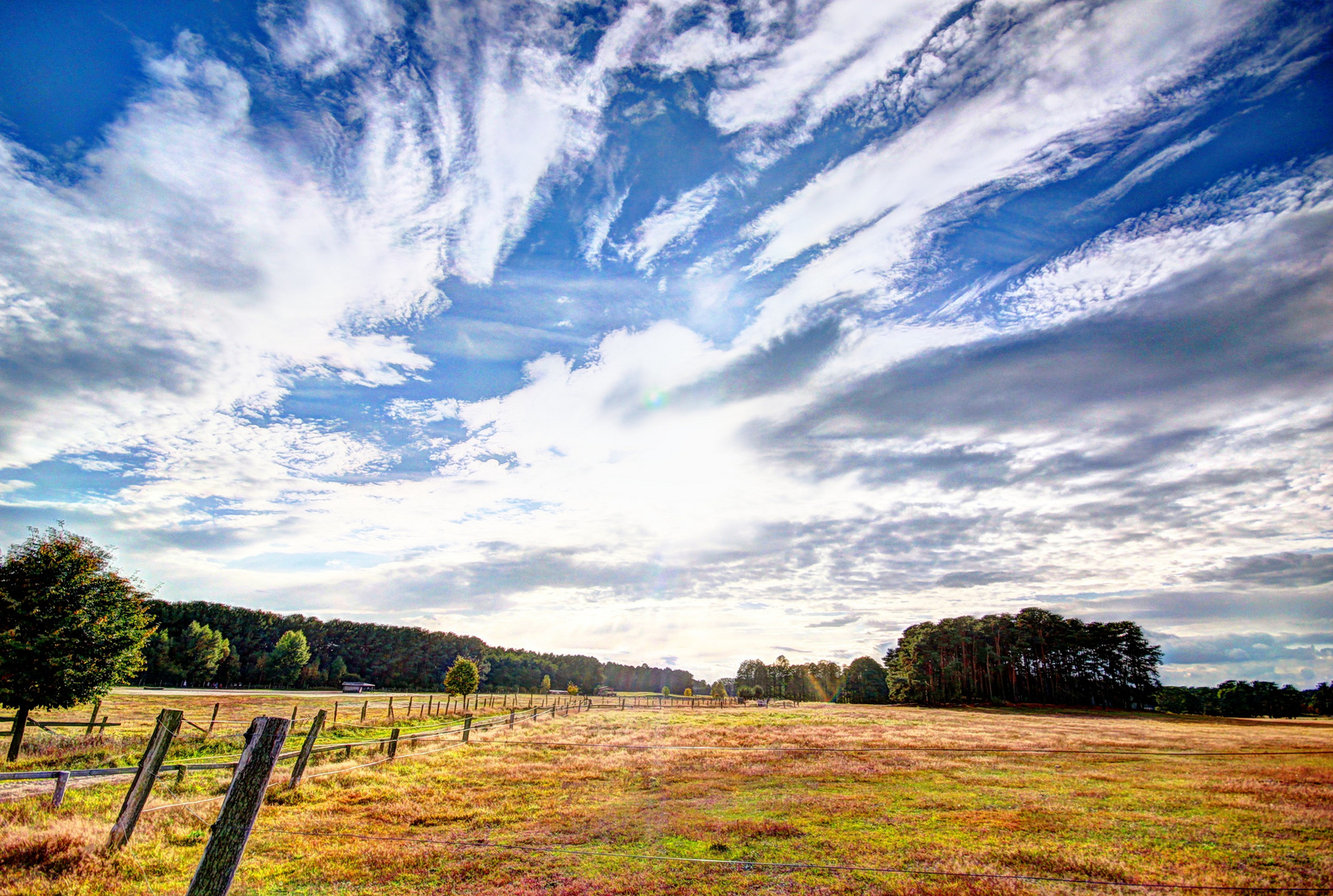 Schorfheide in HDR