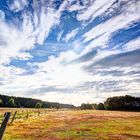 Schorfheide in HDR