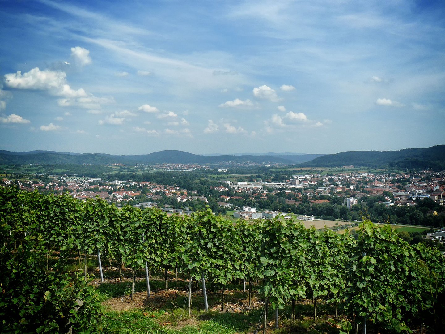 Schorndorfer Weinberge