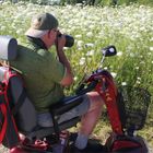 User Profile Photo