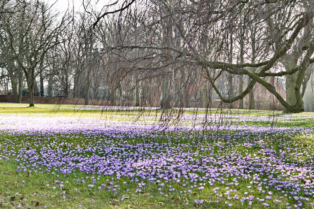 Schoss in Husum / Nordsee