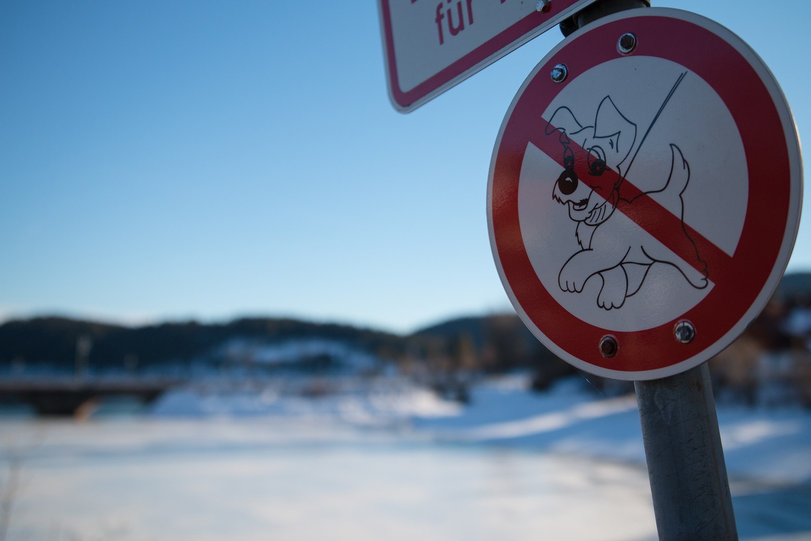 Schoßhündchen verboten, endlich!