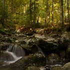 Schoßrinn im Herbst