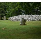 Schotland 16/25. Clava cairn.