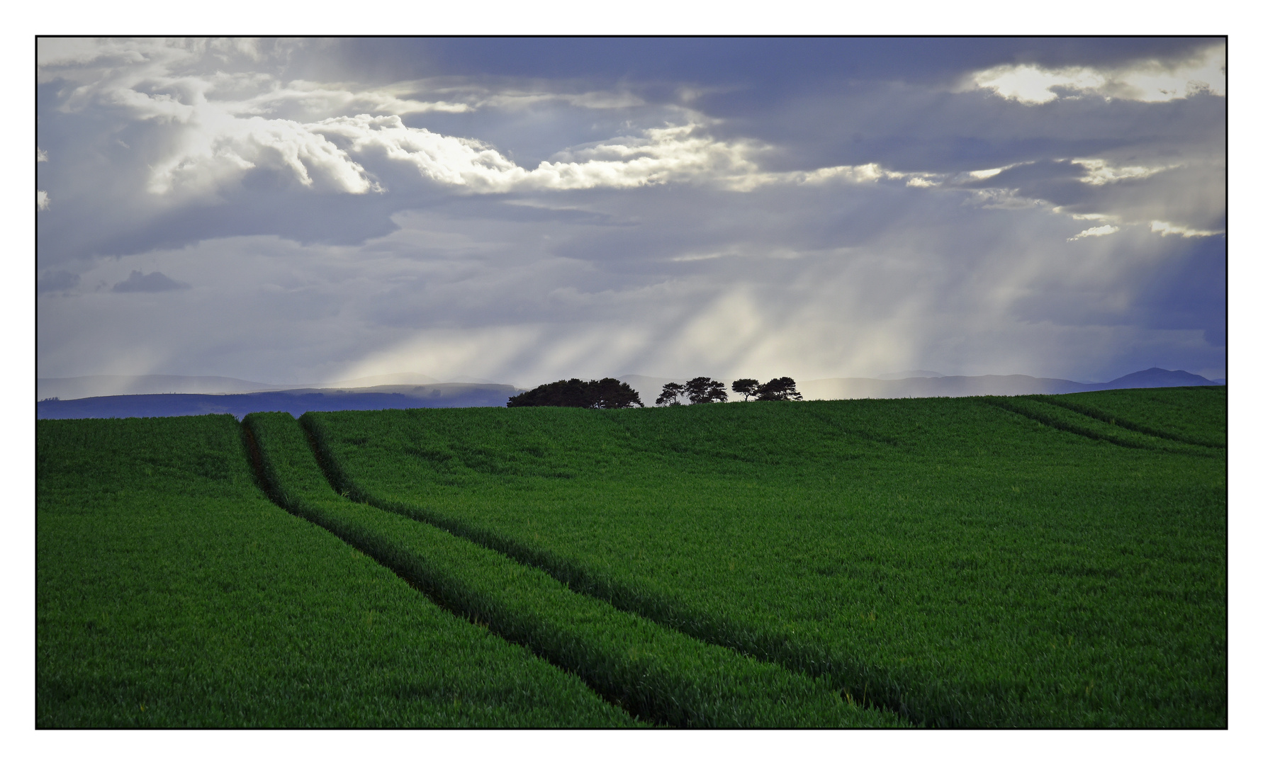 Schotland 5/25.  Rain in Tain.