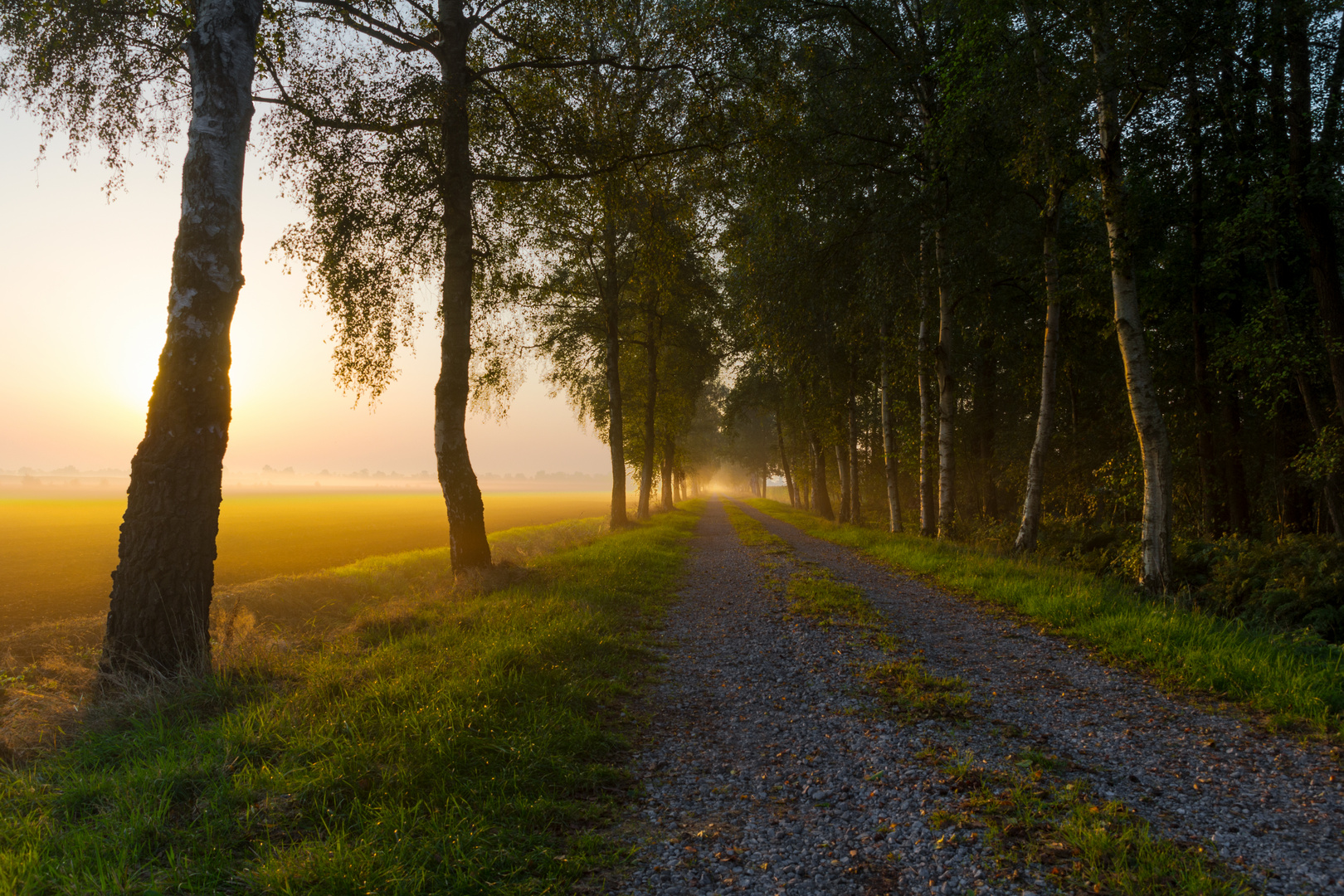 Schotterweg, 112° Ost